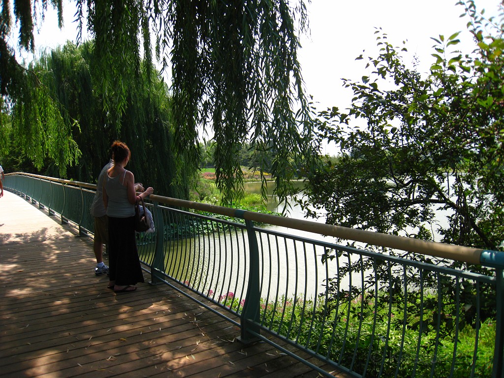 Botanical Gardens 2010 0340.jpg - The Chicago Botanic Gardens. Wear comfortable shoes, and be prepared to enjoy the landscape for a day.